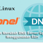 Cara Merubah DNS Server Cpanel Menggunakan SSH