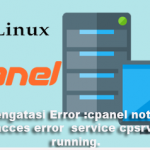 Cara Mengatasi Error :cpanel not running and acces error  service cpsrvd not running.