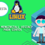 Cara Menginstall VestaCP pada Centos