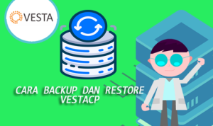 Cara Backup dan Restore VestaCP