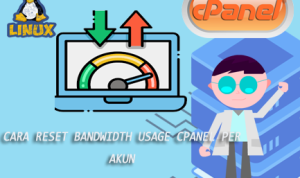 Cara Reset Bandwidth Usage Cpanel Per akun