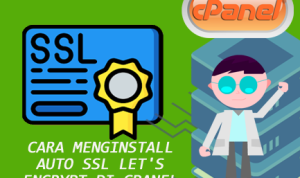 Cara Menginstall auto ssl let’s encrypt di Cpanel