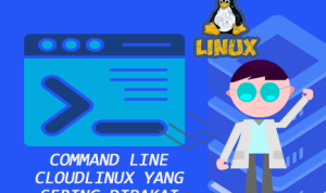 Command line cloudlinux yang sering dipakai