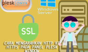 Cara Mengarahkan HTTP ke HTTPS pada Panel PLESK Window