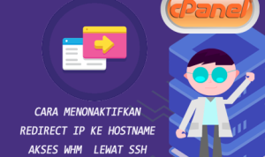 Cara menonaktifkan redirect IP ke hostname  akses WHM  lewat SSH