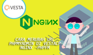 Cara Merubah URL PHPMyAdmin di VestaCP Nginx -phpfm