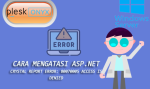 cara mengatasi ASP.Net Crystal Report Error: 80070005 Access is denied after deployment pada plesk windows